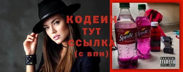 молекула духа Гусев