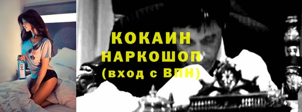 прущие грибы Медвежьегорск