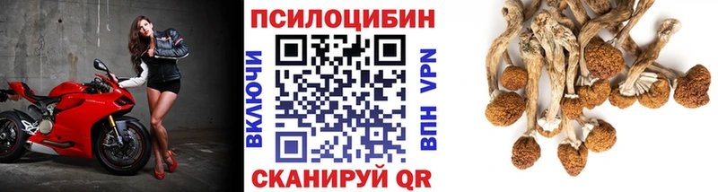 МЕГА tor  Звенигово  Галлюциногенные грибы прущие грибы 