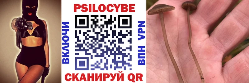 Псилоцибиновые грибы Psilocybine cubensis Звенигово